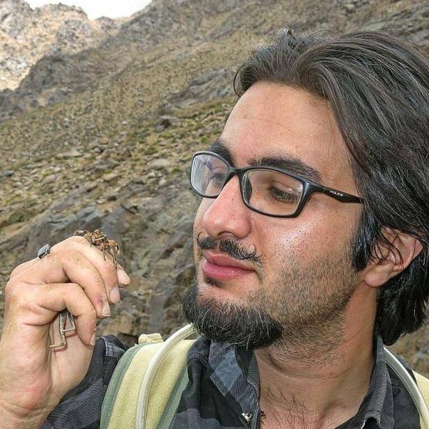 Alireza Zamani