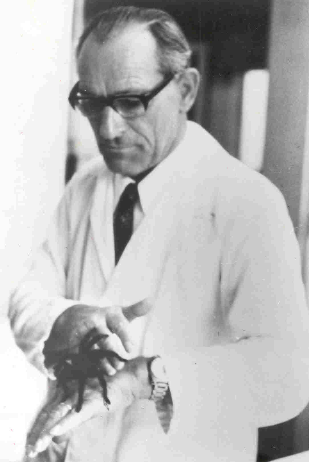 Wolfgang Bücherl