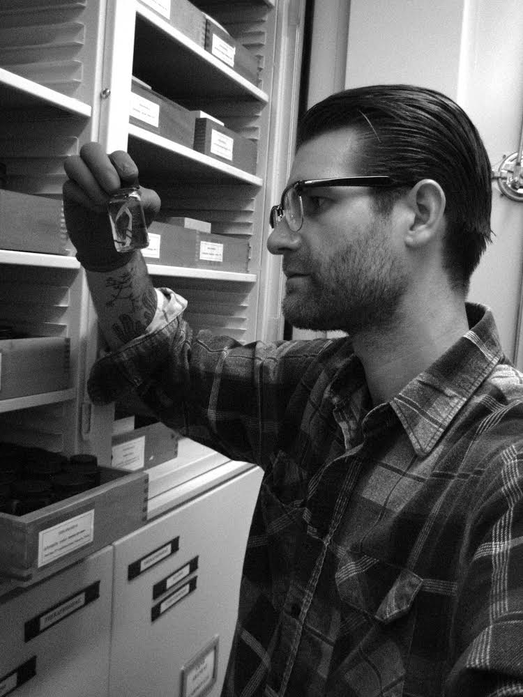 Chris A. Hamilton