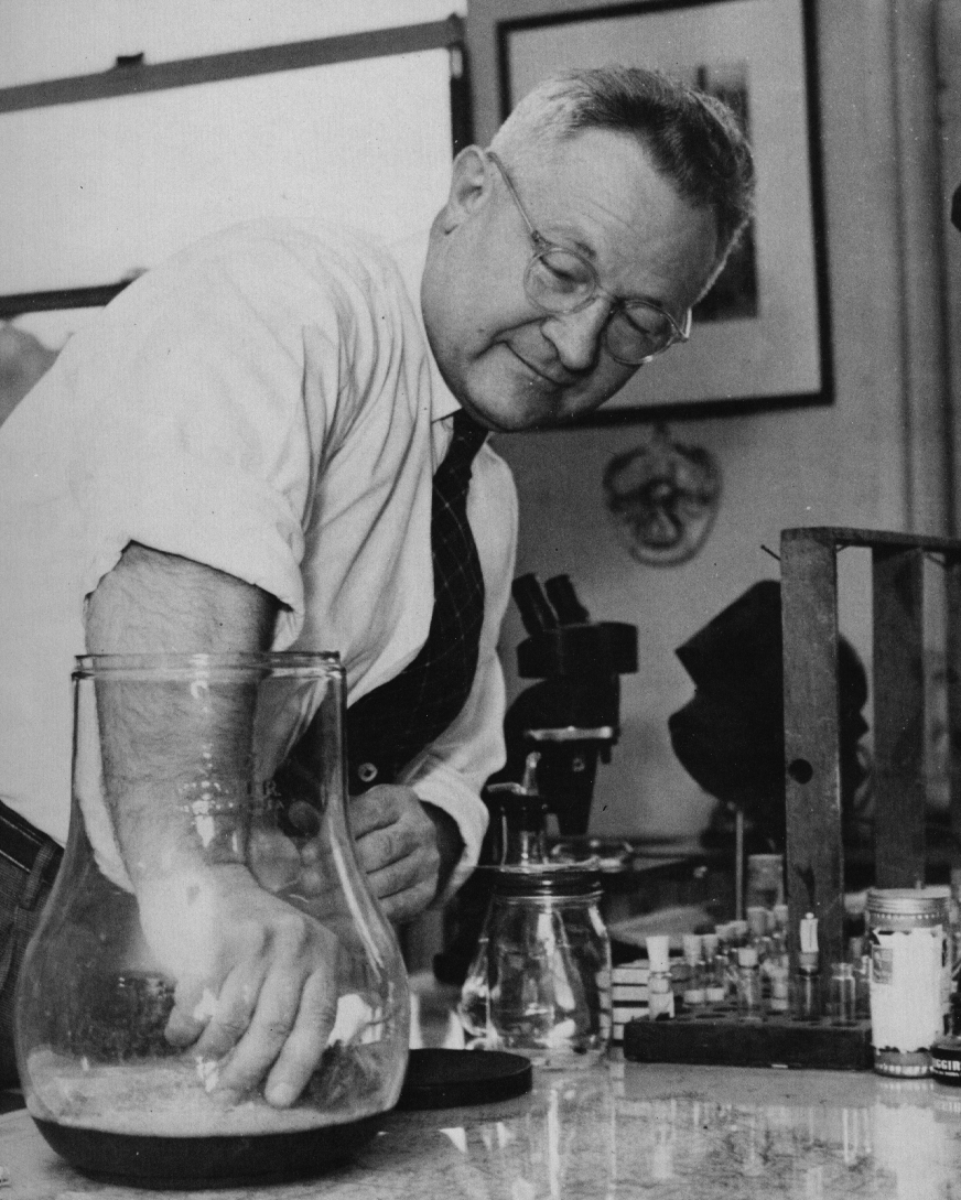 Willis John Gertsch