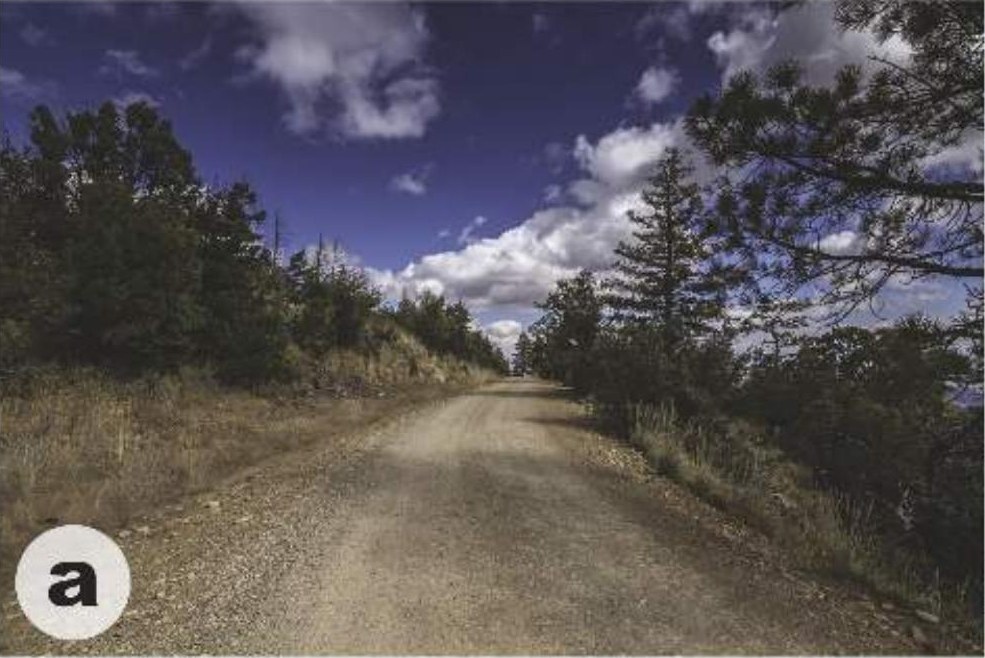 Habitat