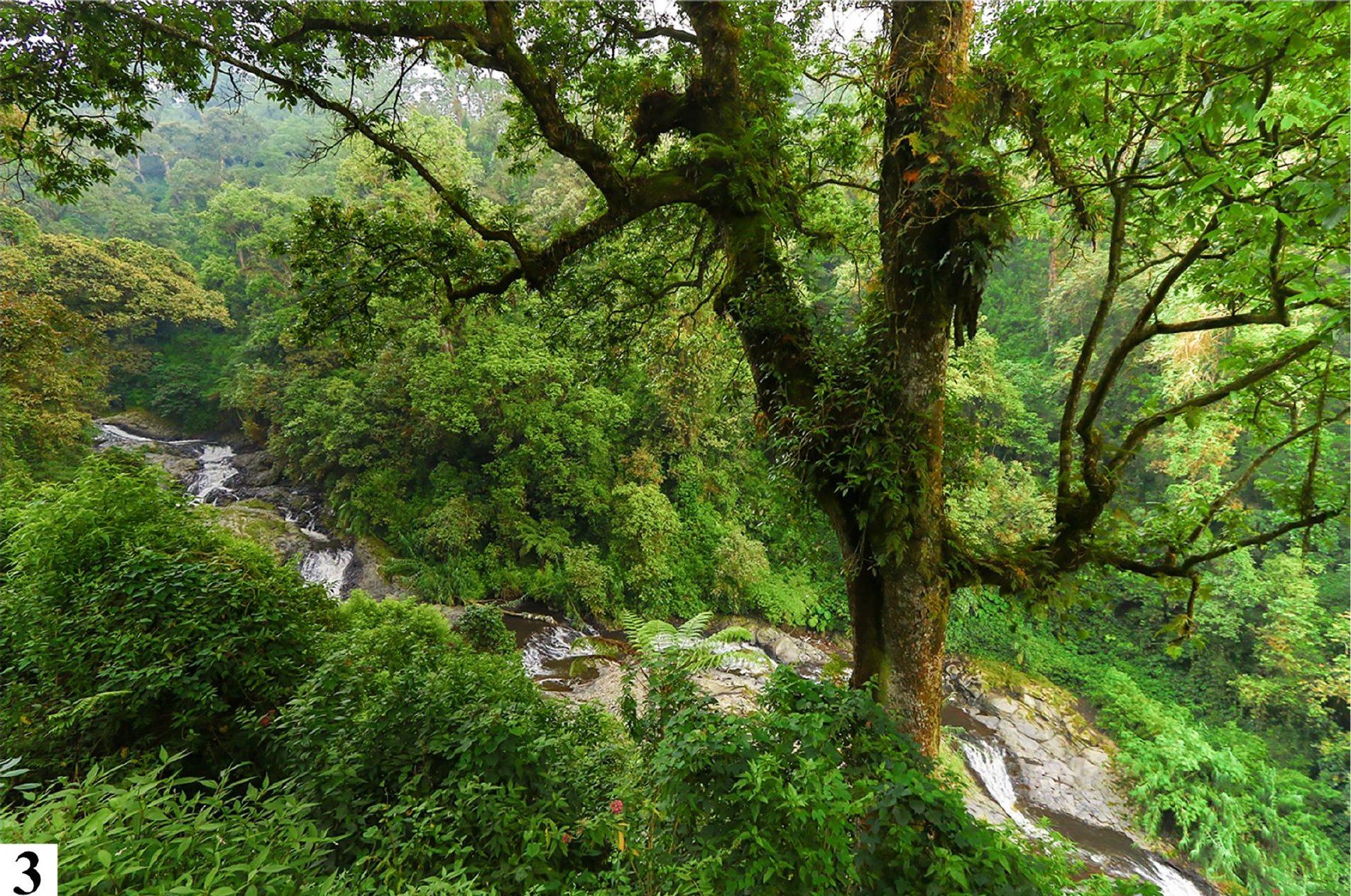 Habitat