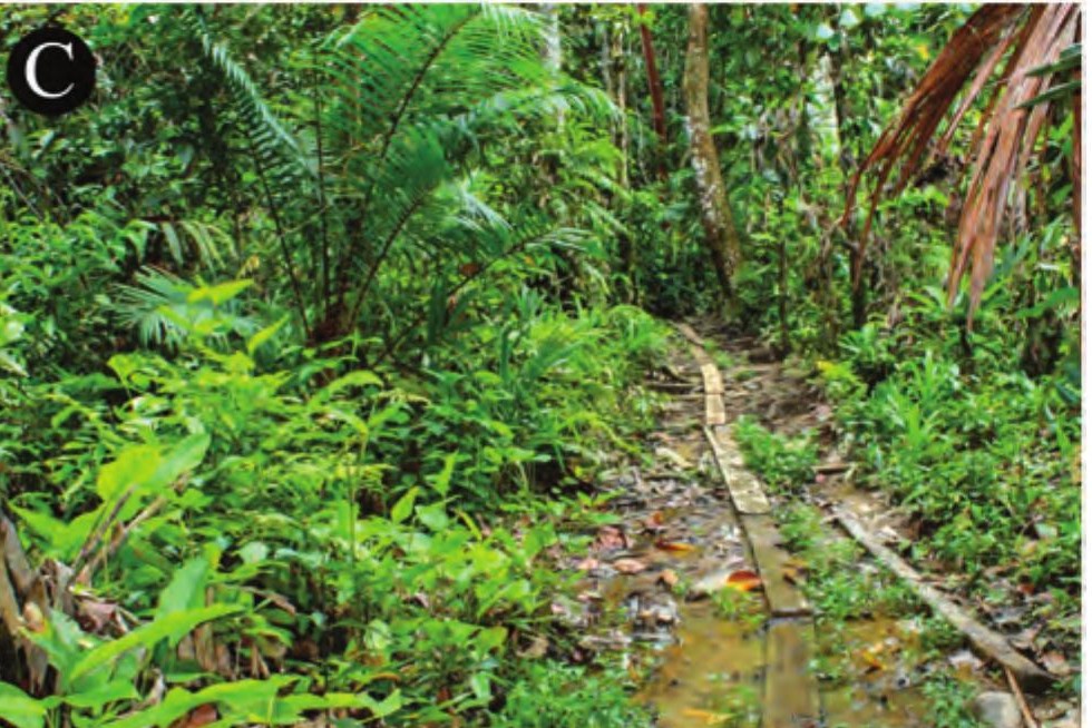 Habitat