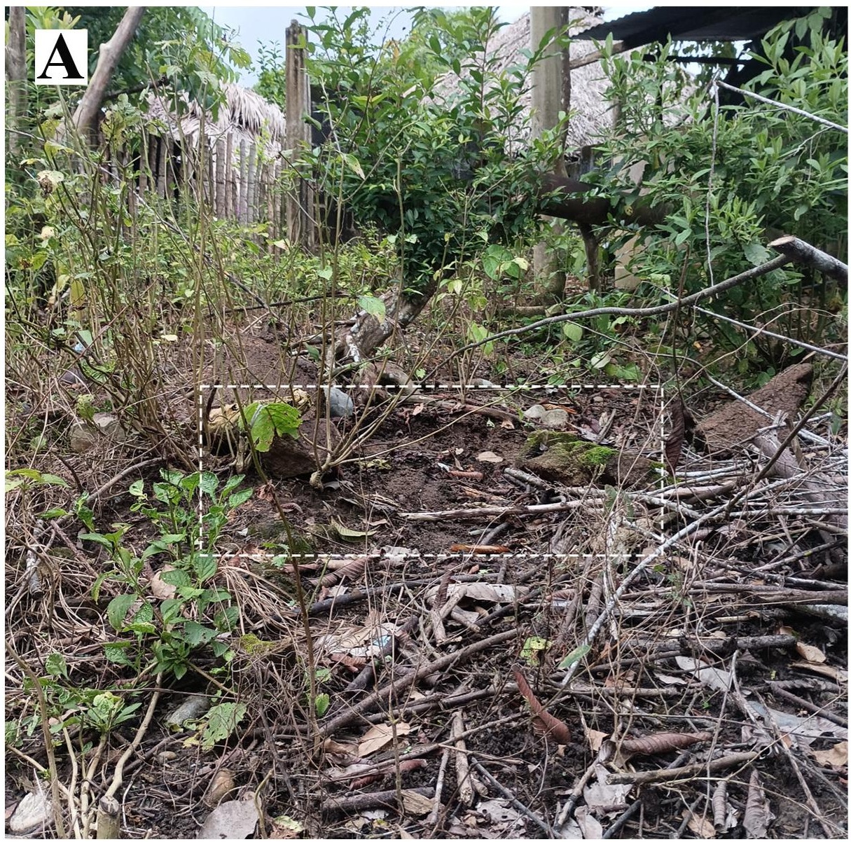 Habitat