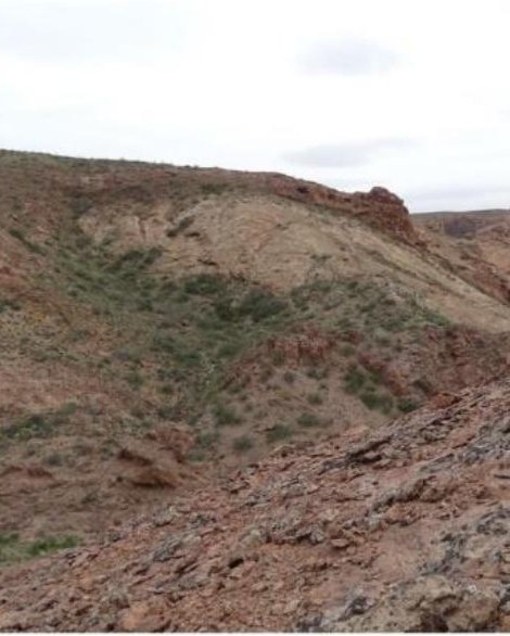 Habitat