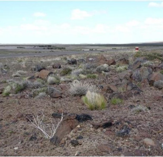 Habitat