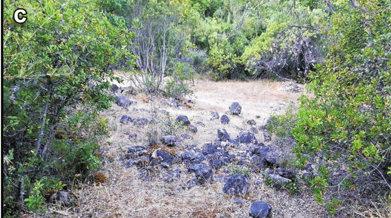 Habitat