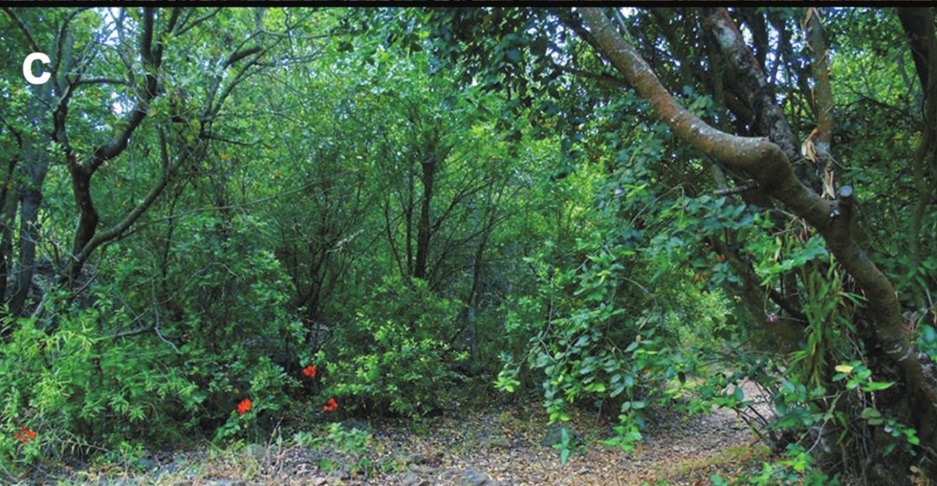 Habitat