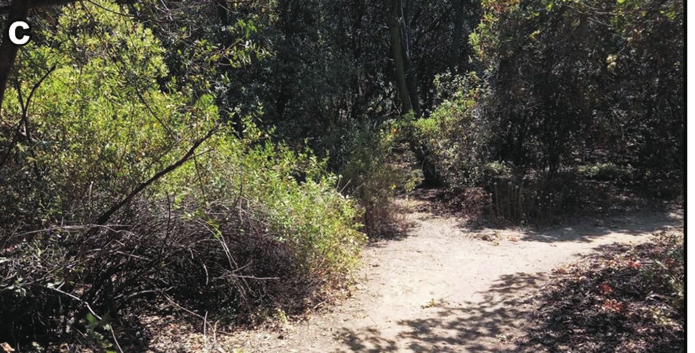 Habitat