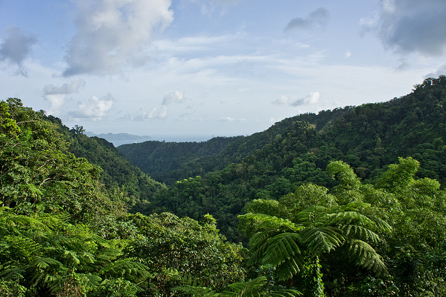 Habitat