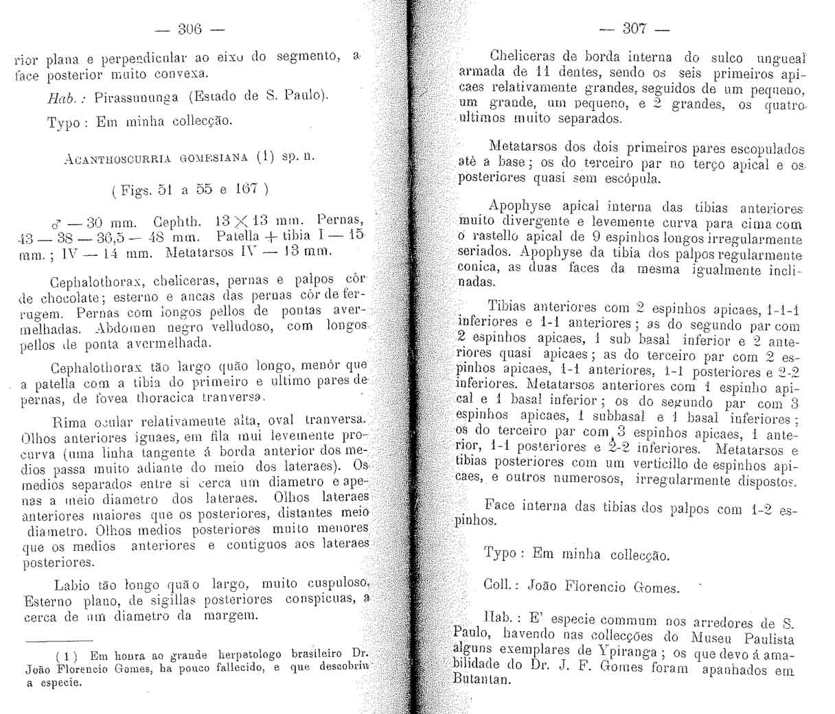 Original Description