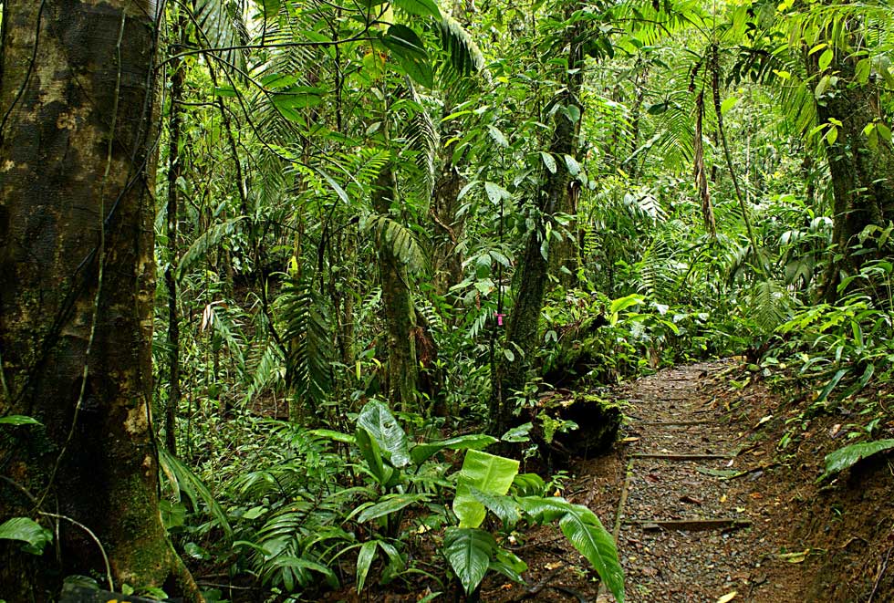 Habitat