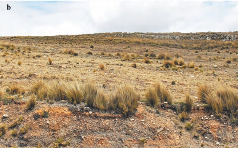 Habitat