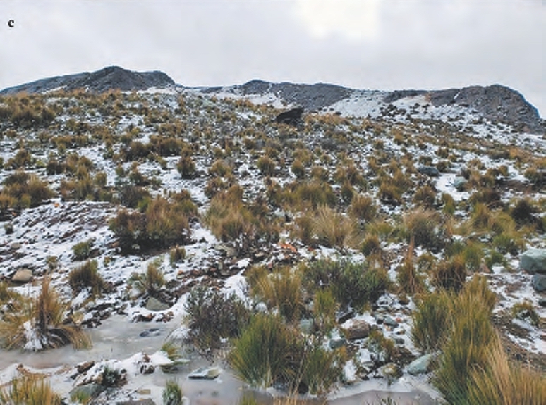 Habitat