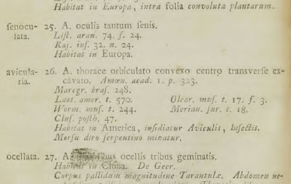 Original Description