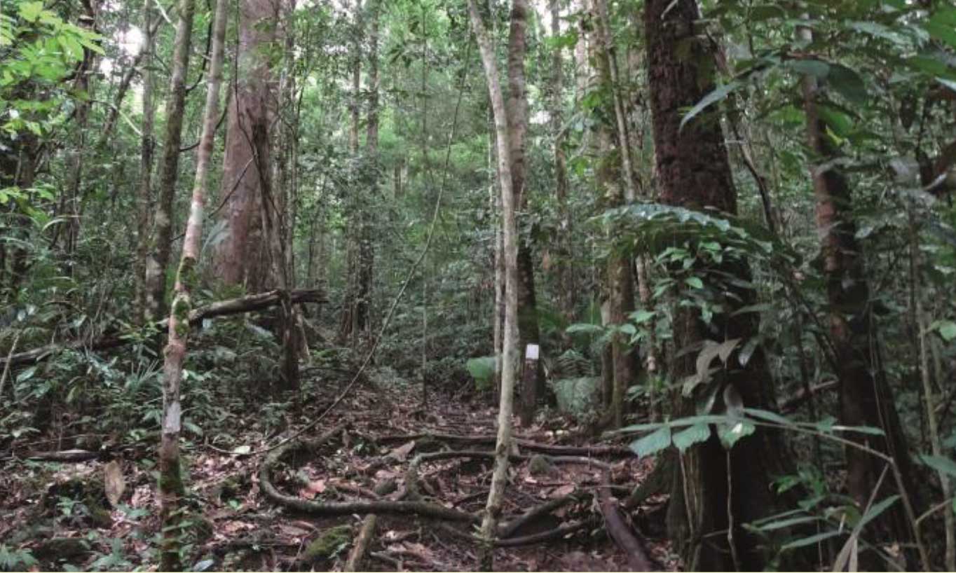 Habitat