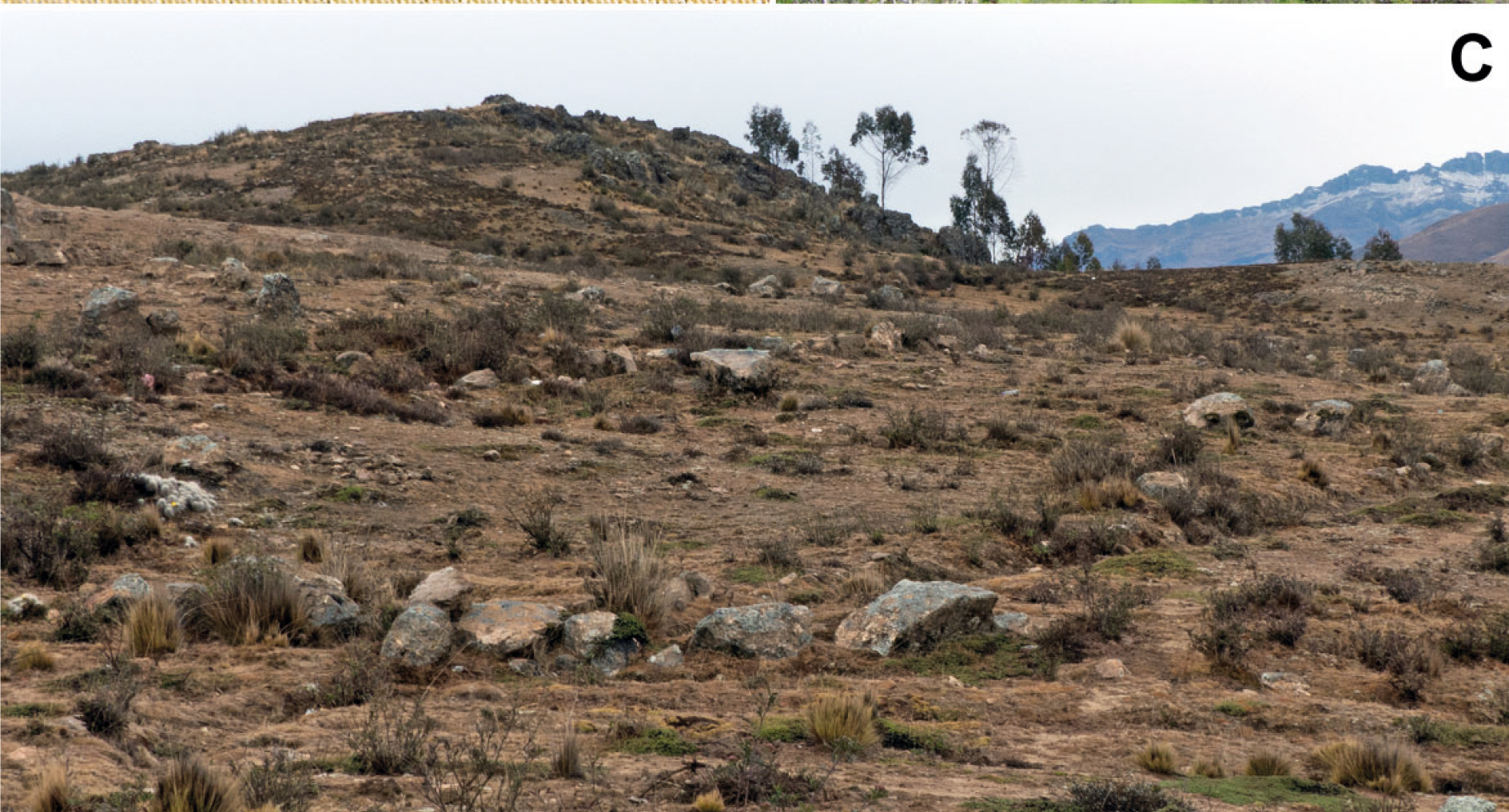 Habitat