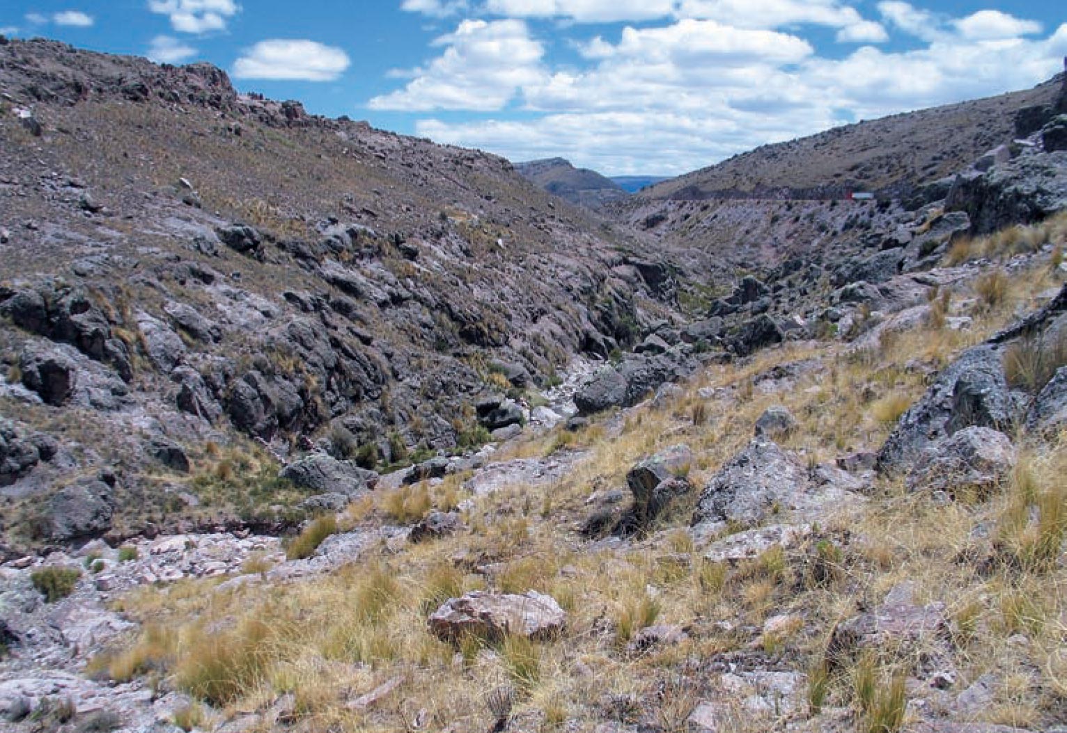 Habitat