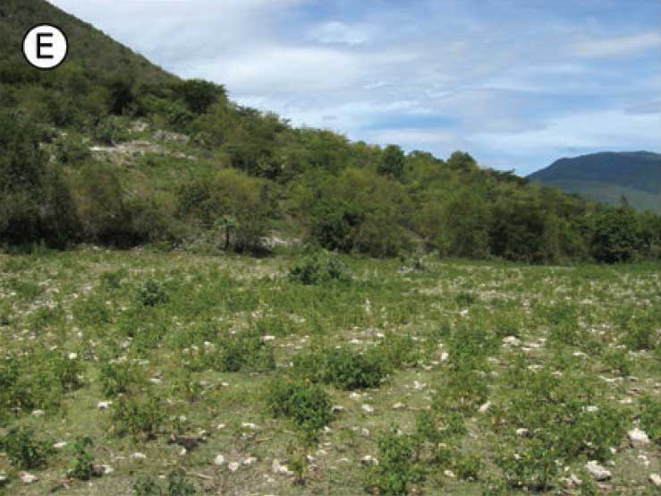 Habitat