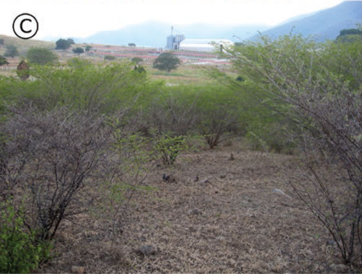 Habitat