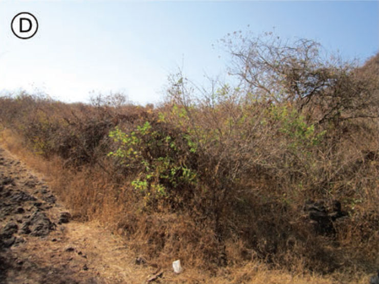 Habitat