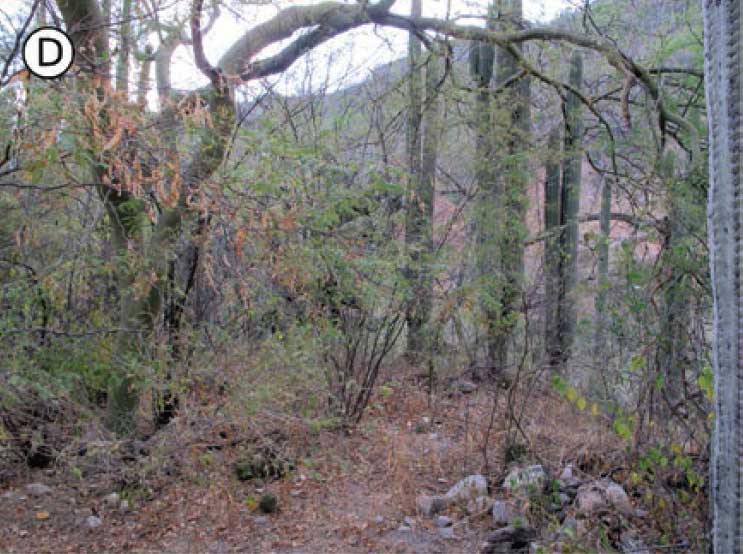 Habitat