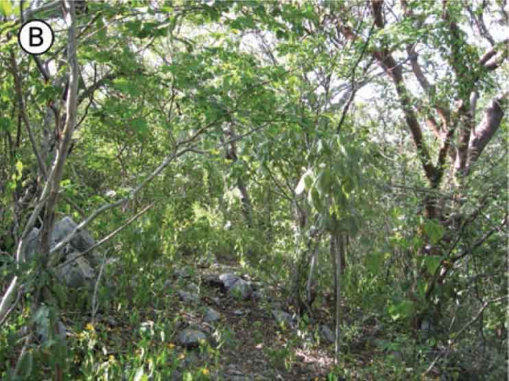 Habitat