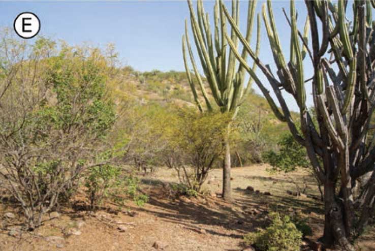 Habitat