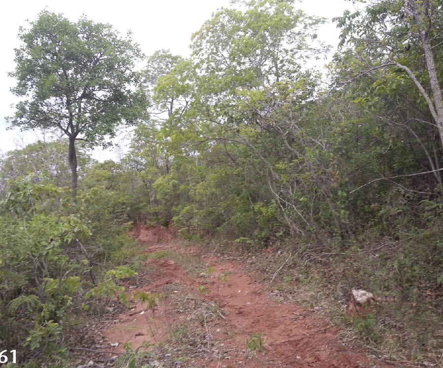 Habitat