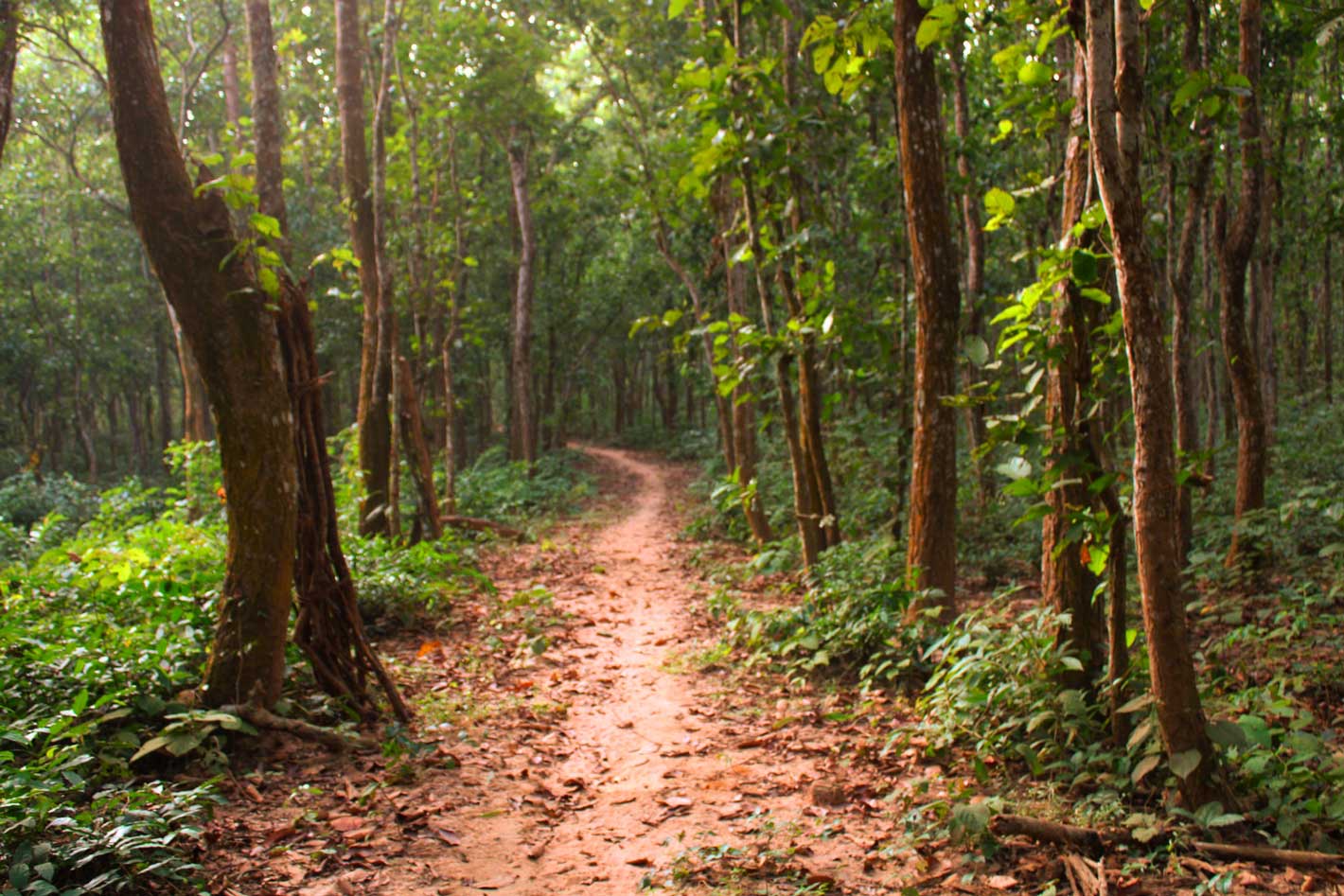 Habitat