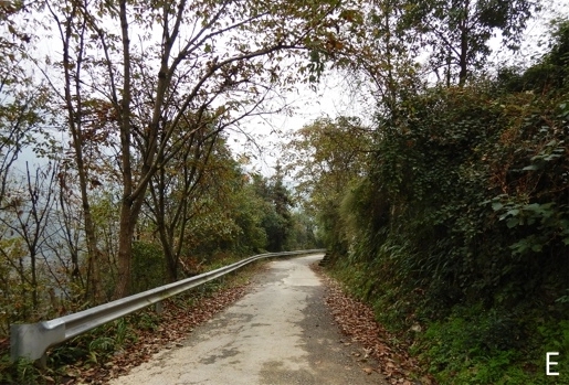 Habitat