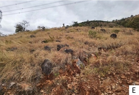 Habitat