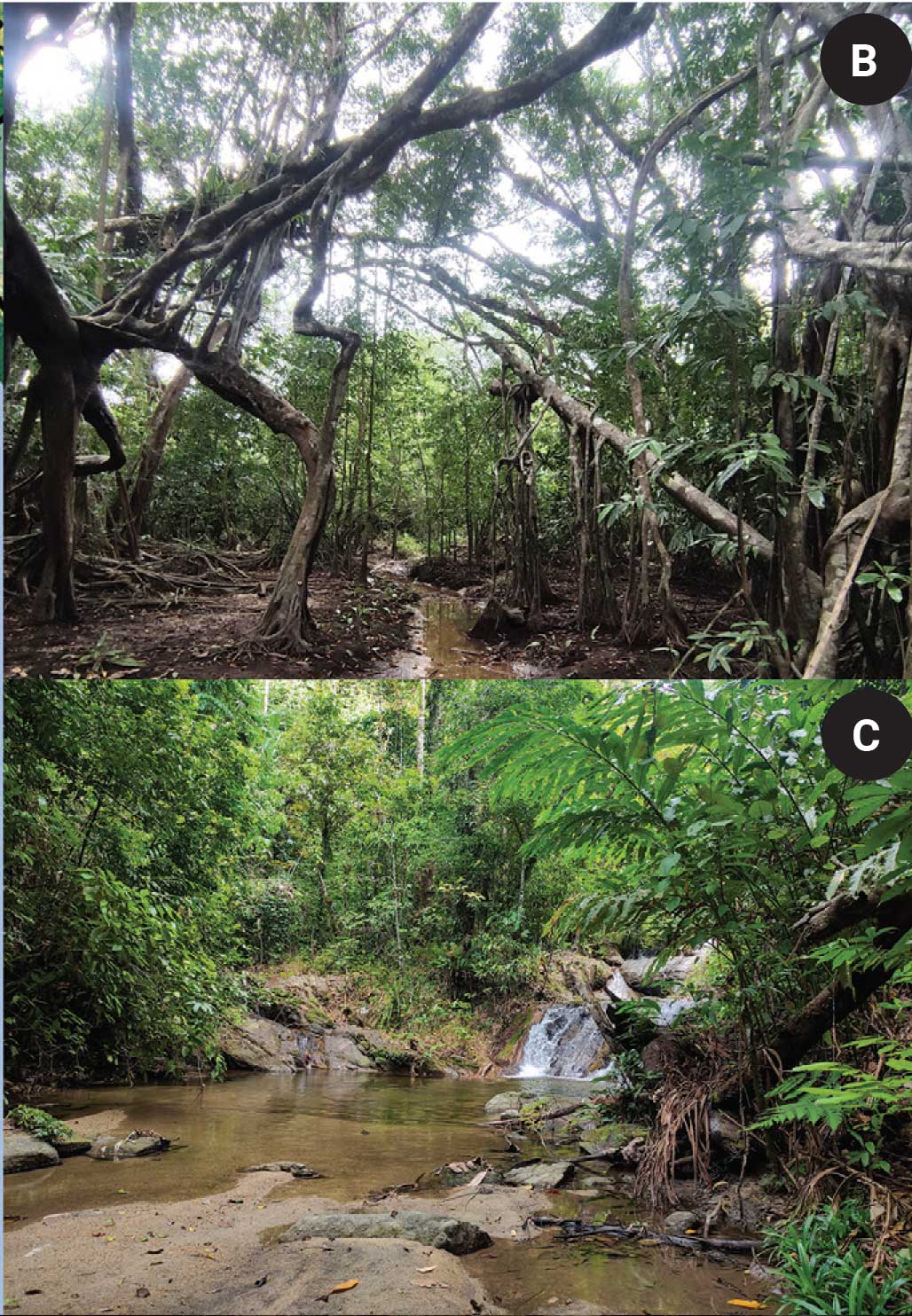 Habitat