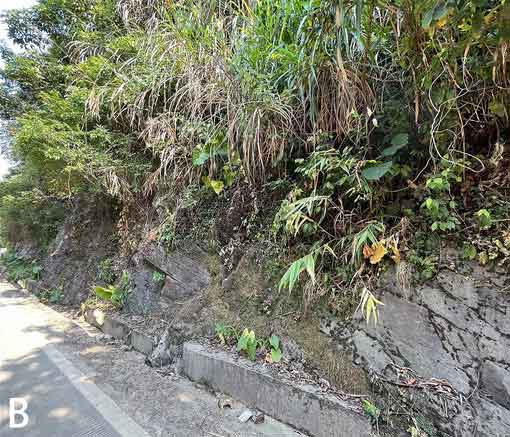 Habitat