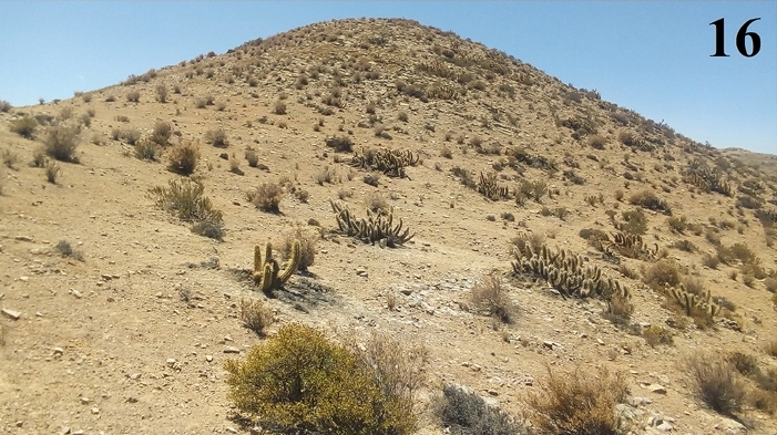 Habitat
