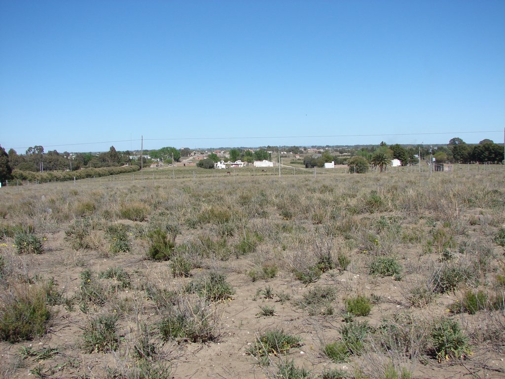 Habitat