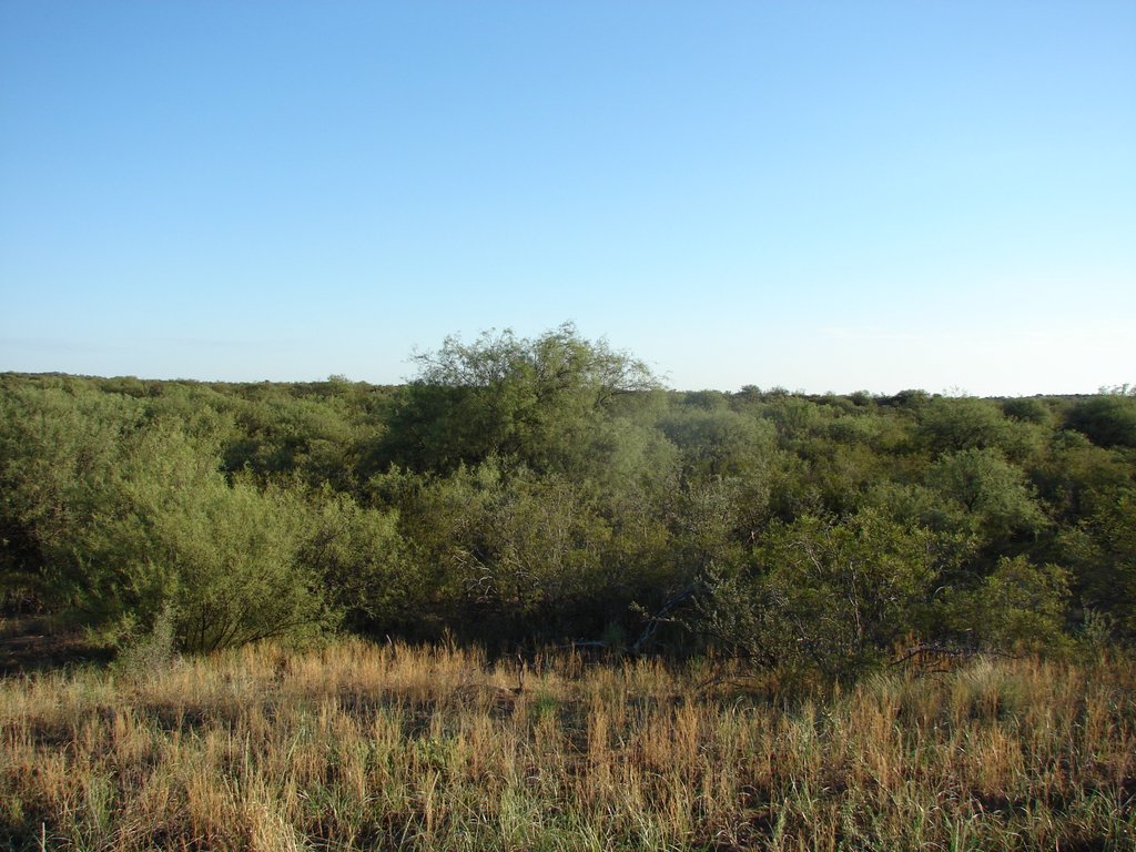 Habitat