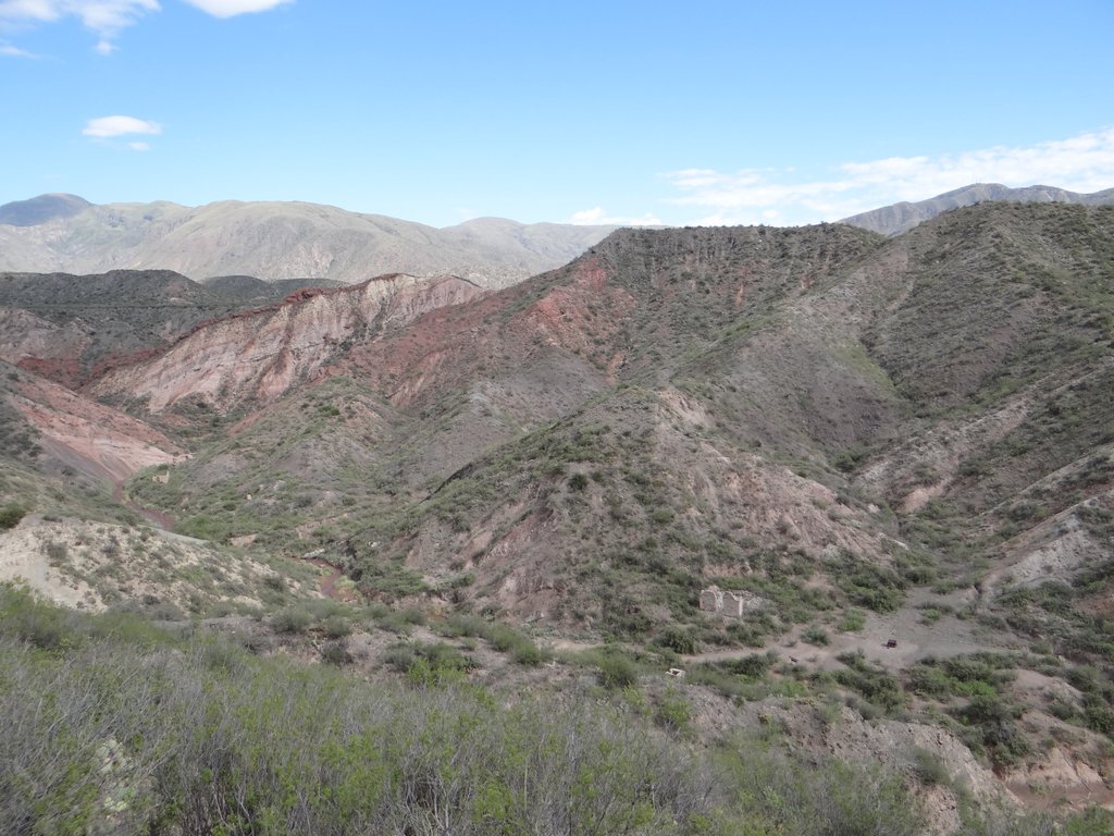 Habitat