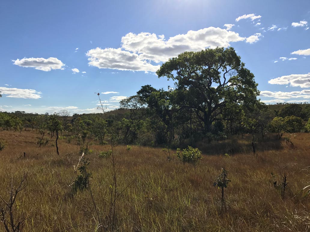 Habitat