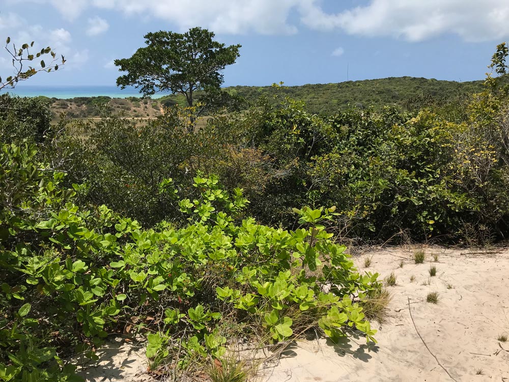 Habitat