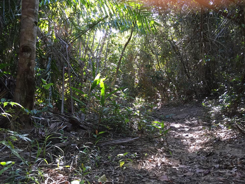 Habitat