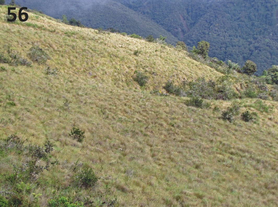Habitat