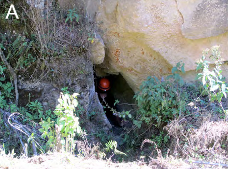 Habitat