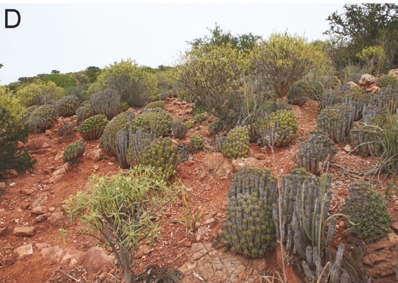 Habitat