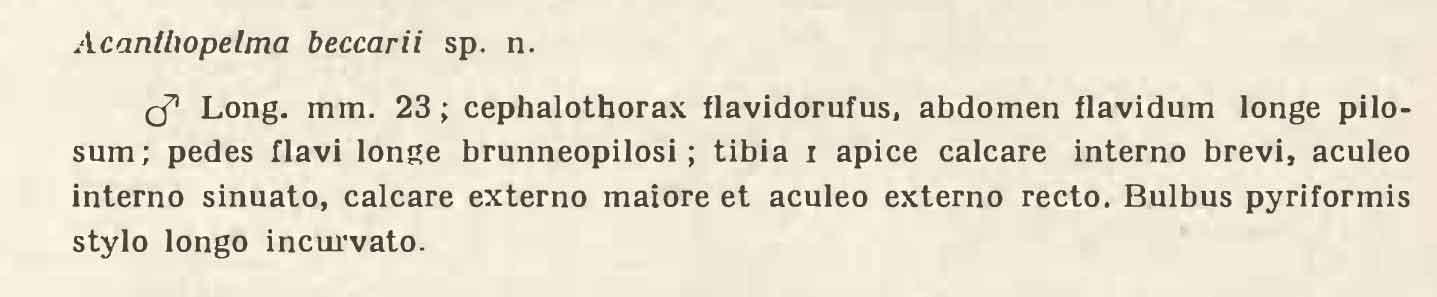 Original Description