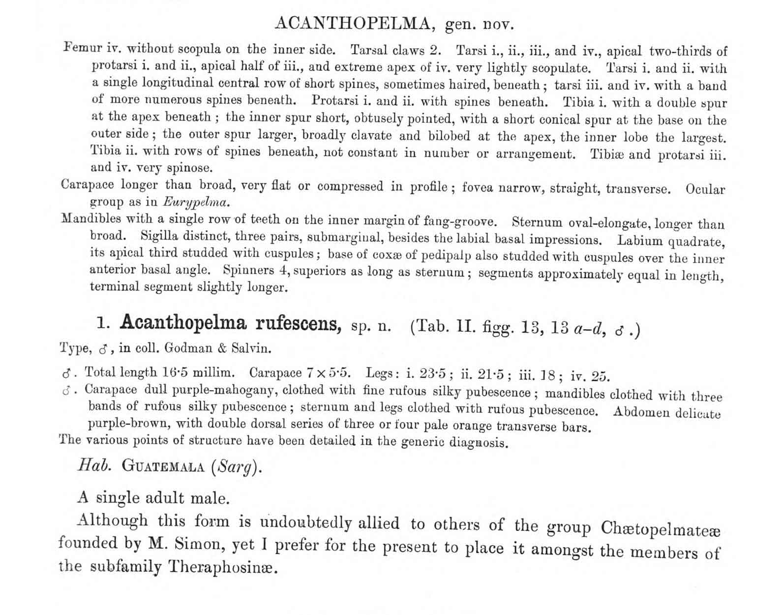 Original Description