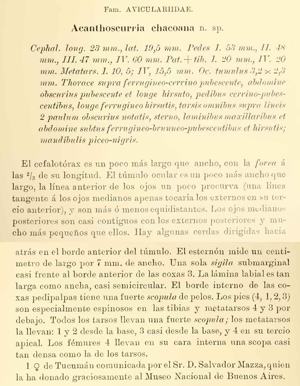 Original Description