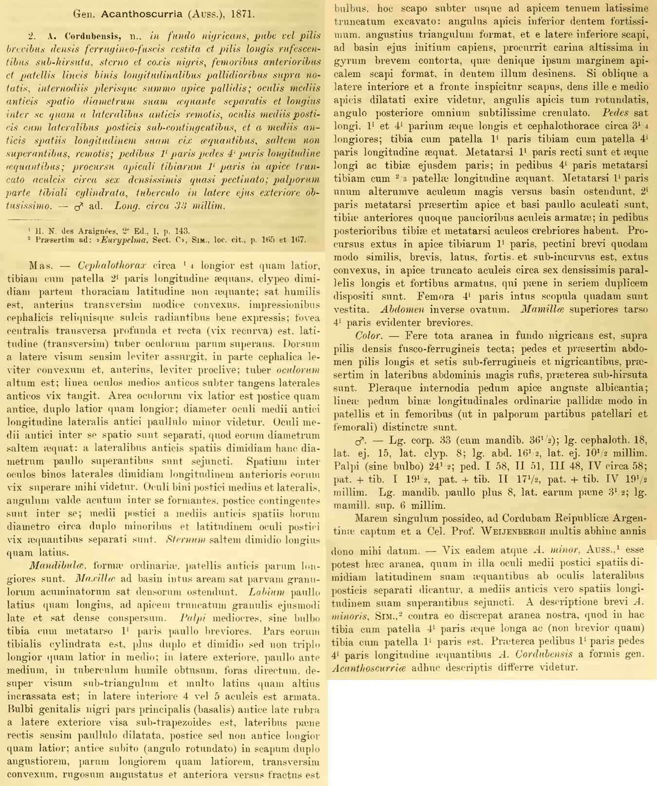 Original Description