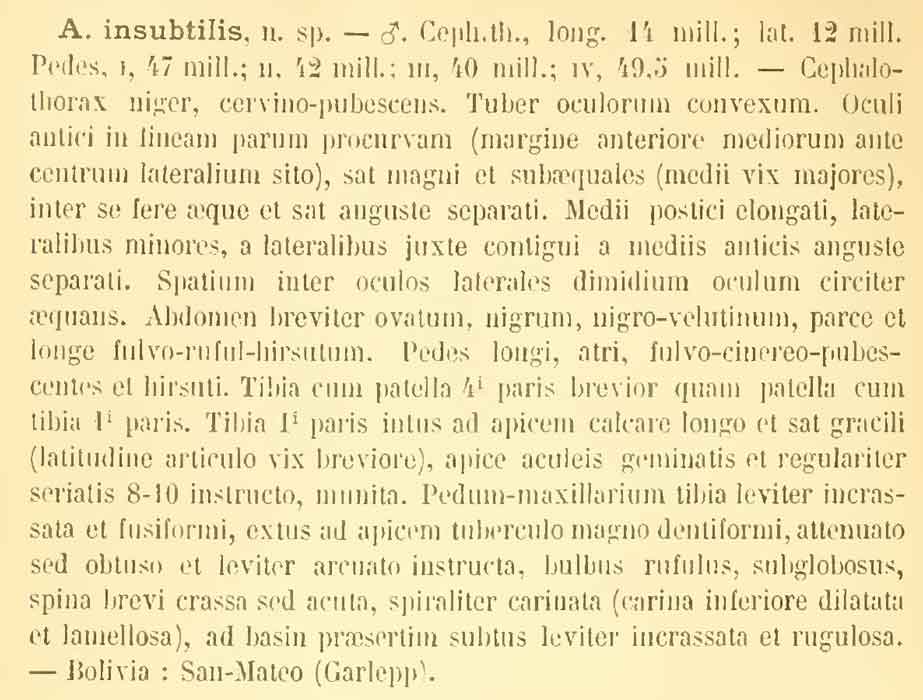 Original Description