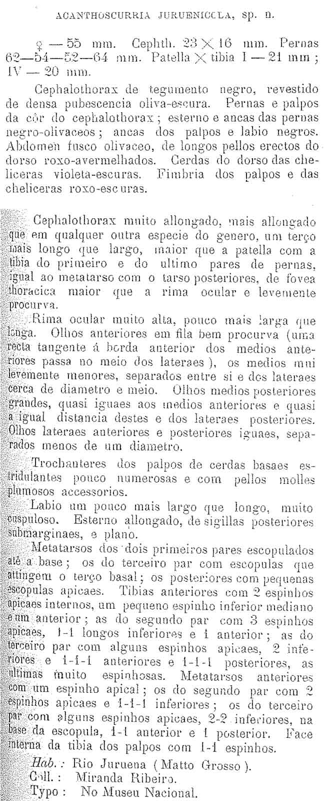 Original Description